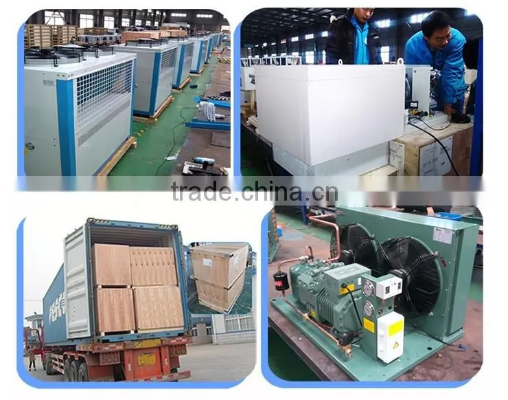 3HP MTZ36 R404a Water Cooled Maneurop Compressor Condensing Unit