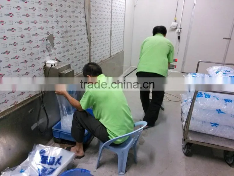 Cube ice Plant machine Cube ice Maker with R22