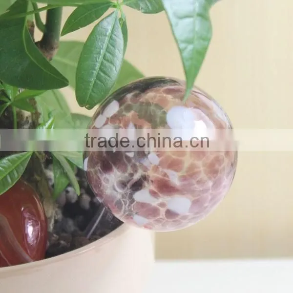 Indoor plant waterer ,watering tool