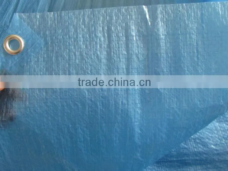 Waterproof and Durable PVC Coated Tarpaulin for Truck Side Curtain