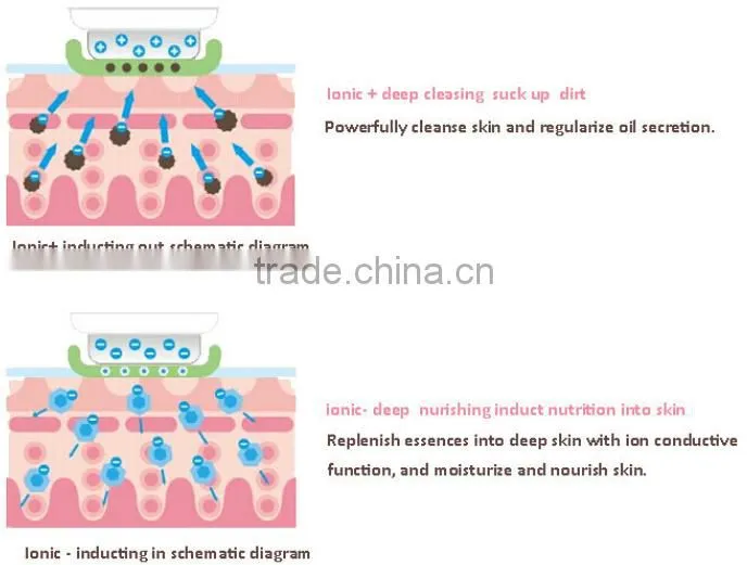 Portable Facial Spa Machine/Ultrasonic & Ion LED Light Treatment Device