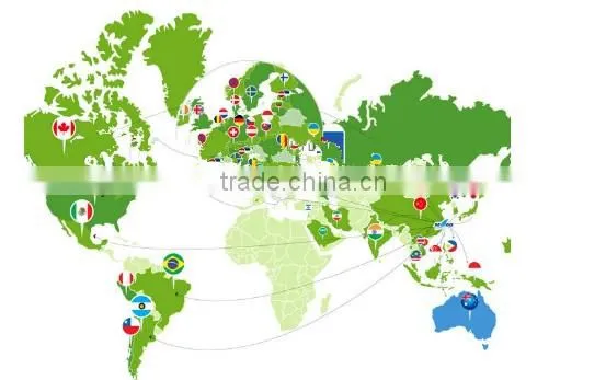 China Popular Sonic Electric Toothbrush