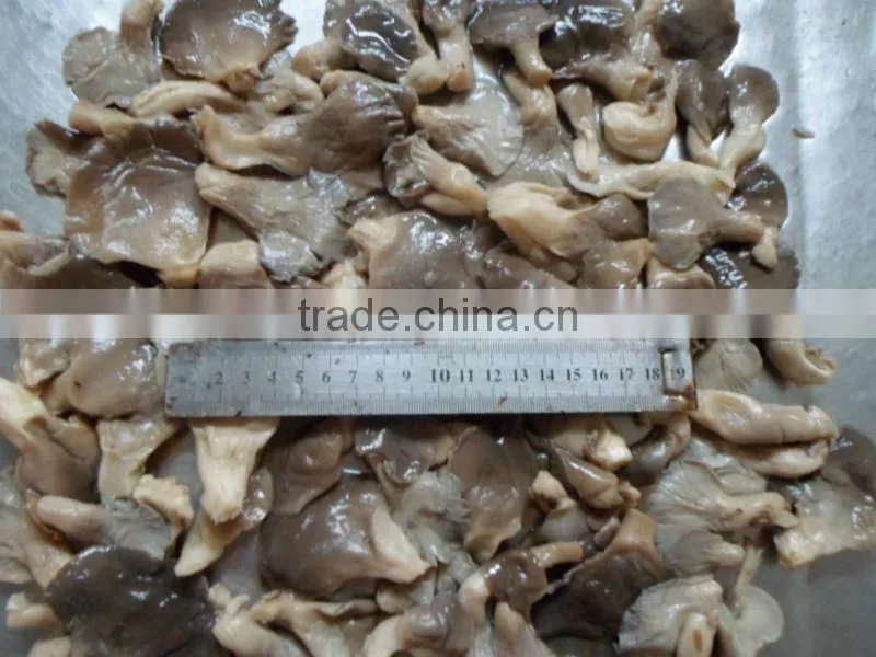 market price of preserved oyster mushroom in brined in 50kg drum