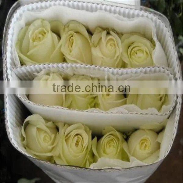 export fresh cut flowers roses from China online