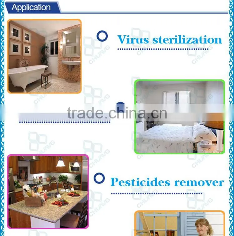 3g 6g portable 110v ceramic ozone generator for vegetable and fruit wash