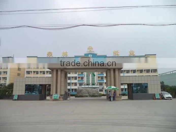 Shandong Tranlin Paper Co., Ltd. company overview - view 2