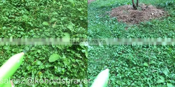 1L small battery rechargeble portable garden sprayers