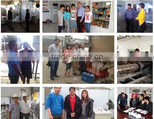 Textured Soy Meat Processing Line