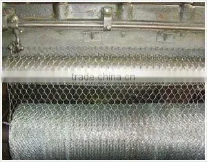 Glavanized Bird netting roll