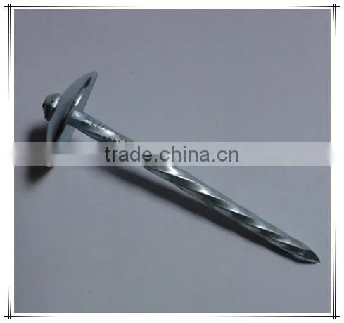 Hot-selling polished common nails / roofing nails / flat head nails