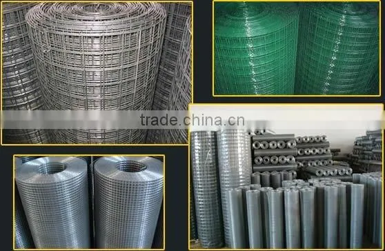 welded wire mesh(factory)
