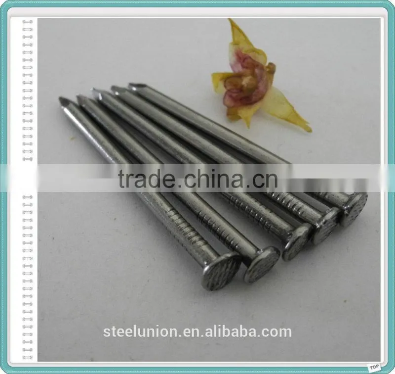 Electro Galvanized Common Wire Nail/Common Iron Wire Nails/Bright Common Nails Factory