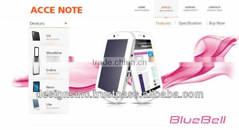 Website design and webpage development