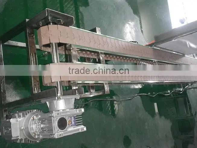 Empty Bottle Conveyor