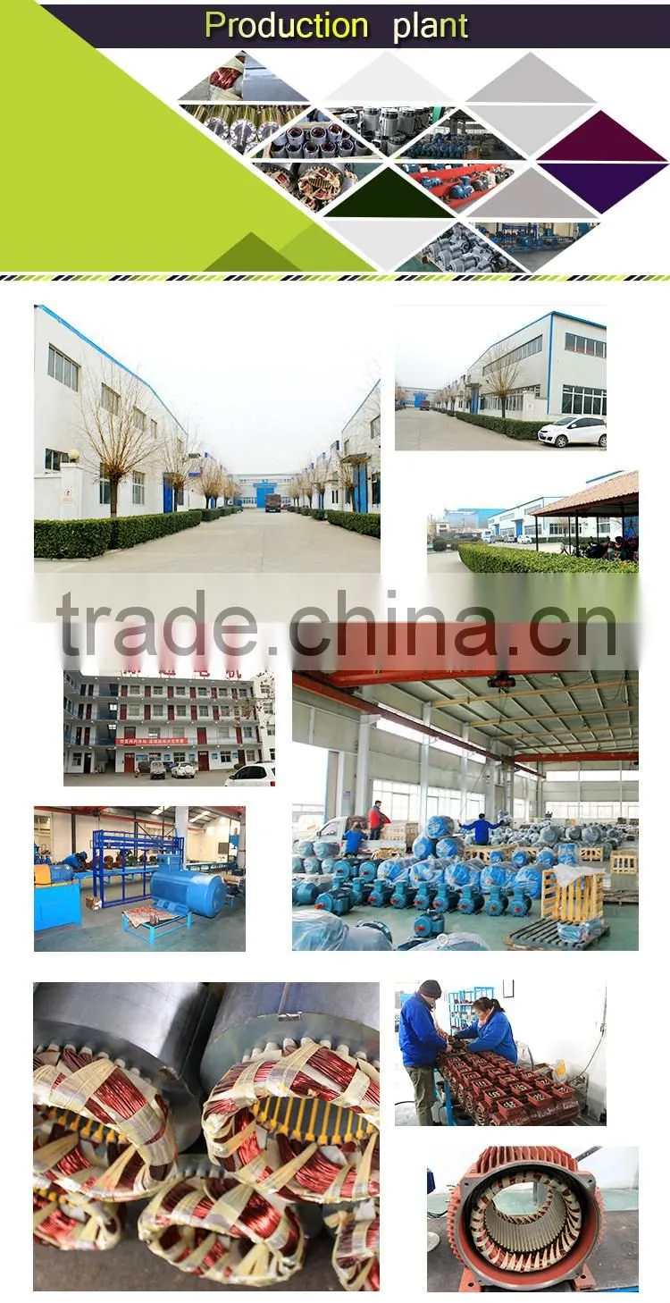 YLJ180-200/6 electric motor torque increase torque electric motor