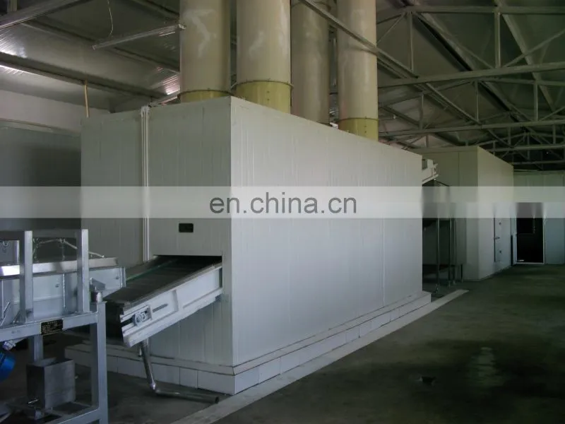 China Frozen Vegetable Production Line/Green Peas Quick Freezing Processing machine