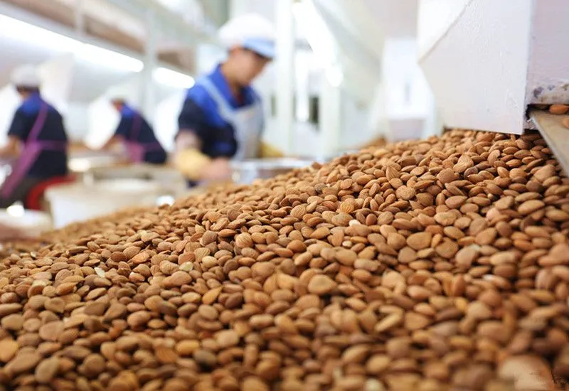 Factory Price Oat Milk Making Plant