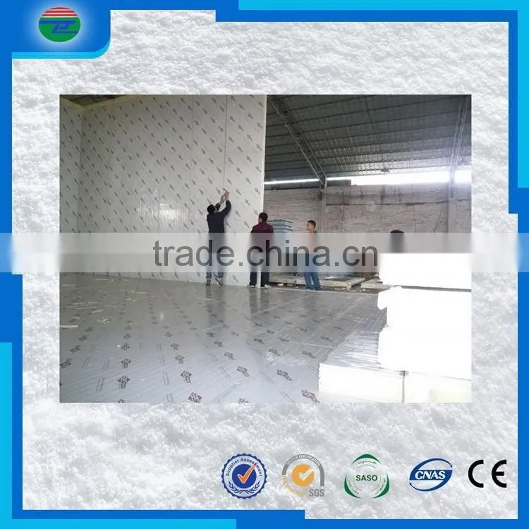 Newest top quality fish freezer/fish cold storage/cold room