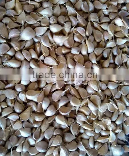 Automatic Electric Garlic Clove Separating/Breaking/Splitting Machine