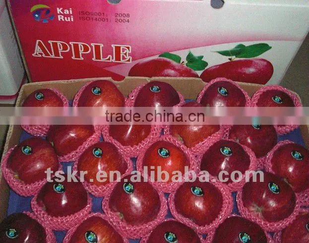 fresh apple of fruit vegetable