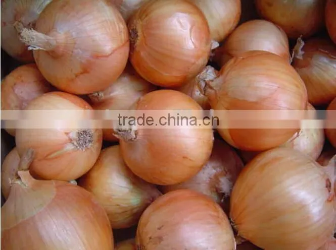 Low price stainless steel onion peeling machine