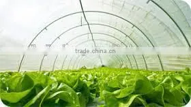 reinforced greenhouse film, greenhouse, solar film