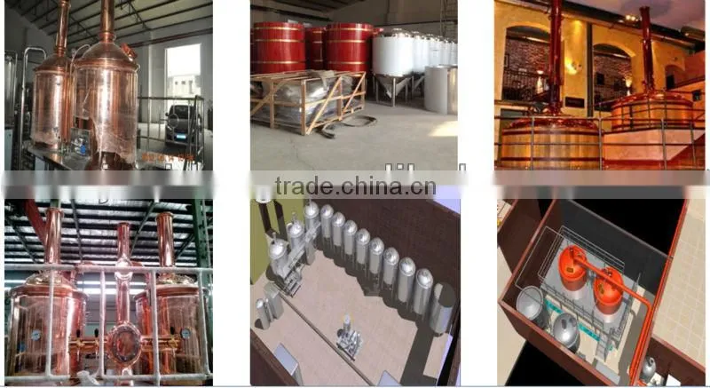 600L automatic beer brewing system