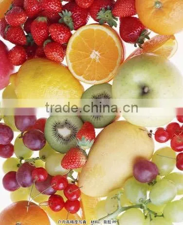 Professional manufacturer pp paper for poster advertising materials -260um