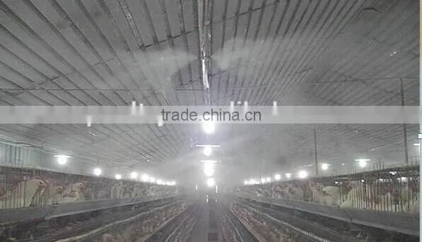 chicken layer cage