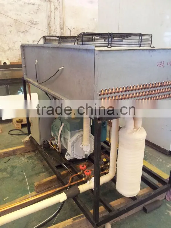 bast freezer for 200kg chips freezing