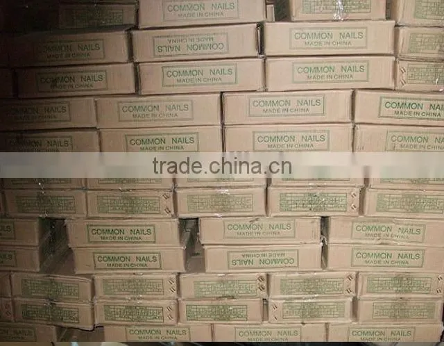 1"-4" common wire nails in china
