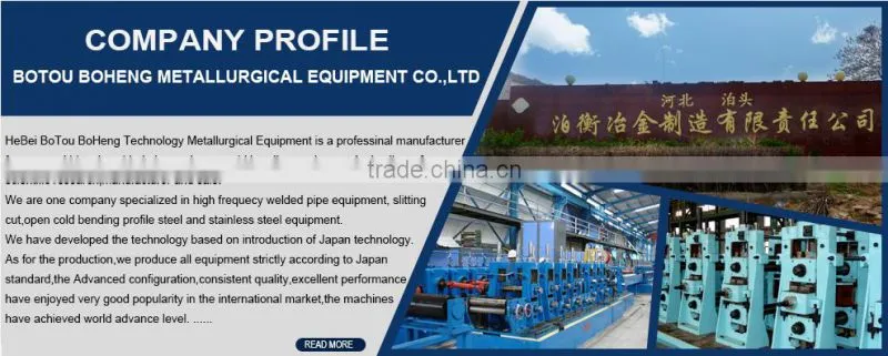 Paint Prepainted Galvanized Steel Coil/ Sheet