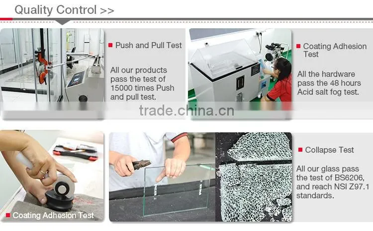 8mm glass bath shower door