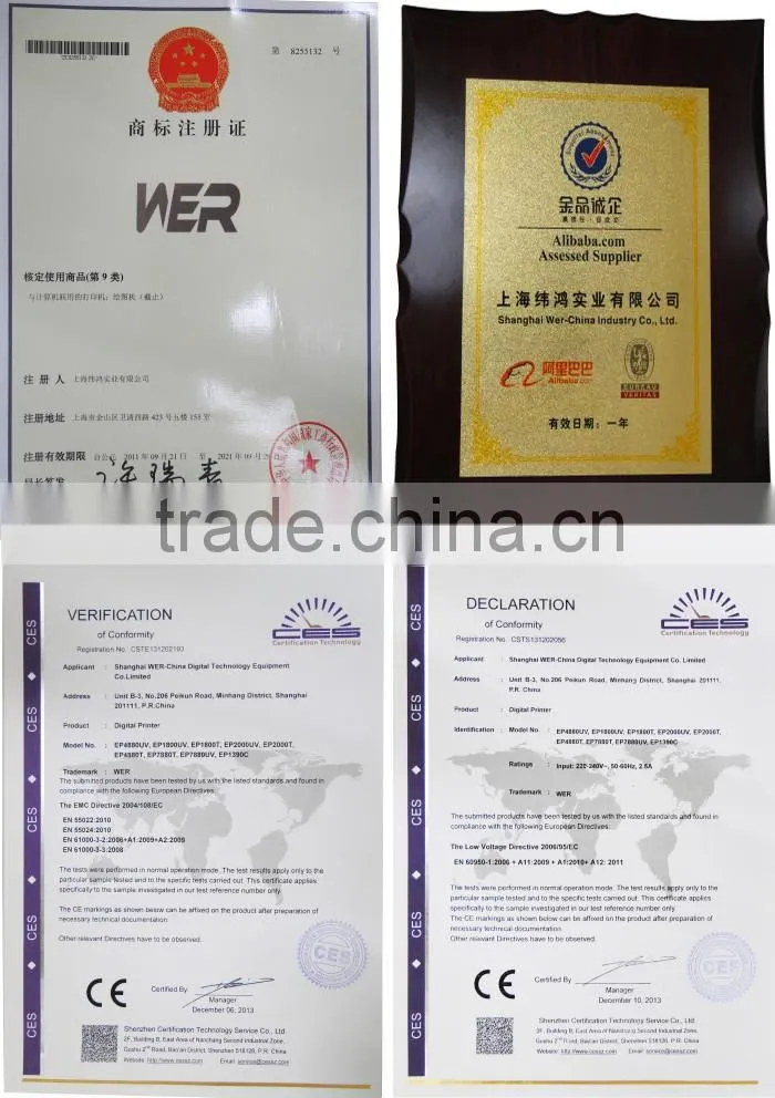 WER-China ricoh print head uv flatbed printer 2500 1220 mm