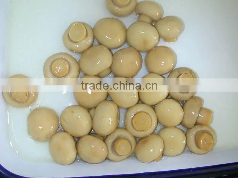 Canned mushroom