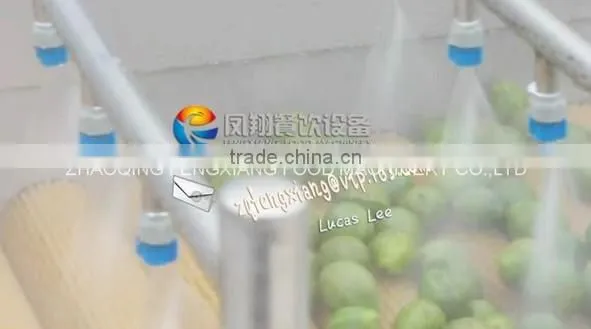Full Automatic Industrial Spray Vegetable And Fruit Washer Washing Machine