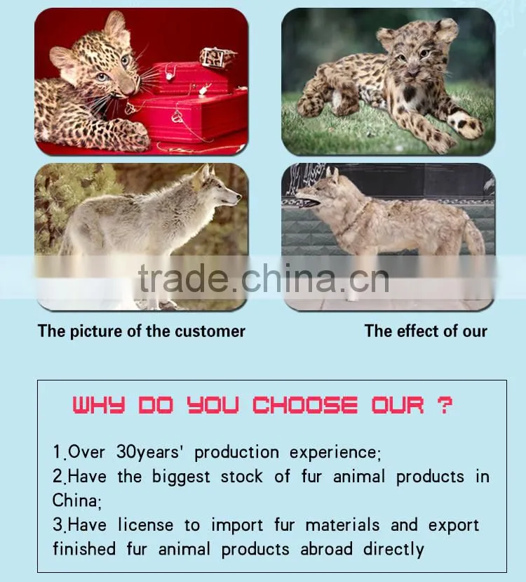 professional design cute factory price cute cuddly animals