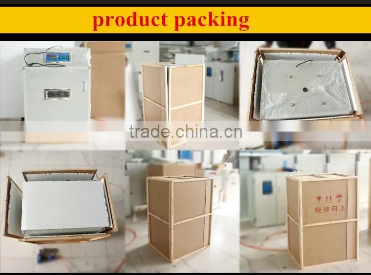 high quality 30 hole plastic chicken egg packing tray
