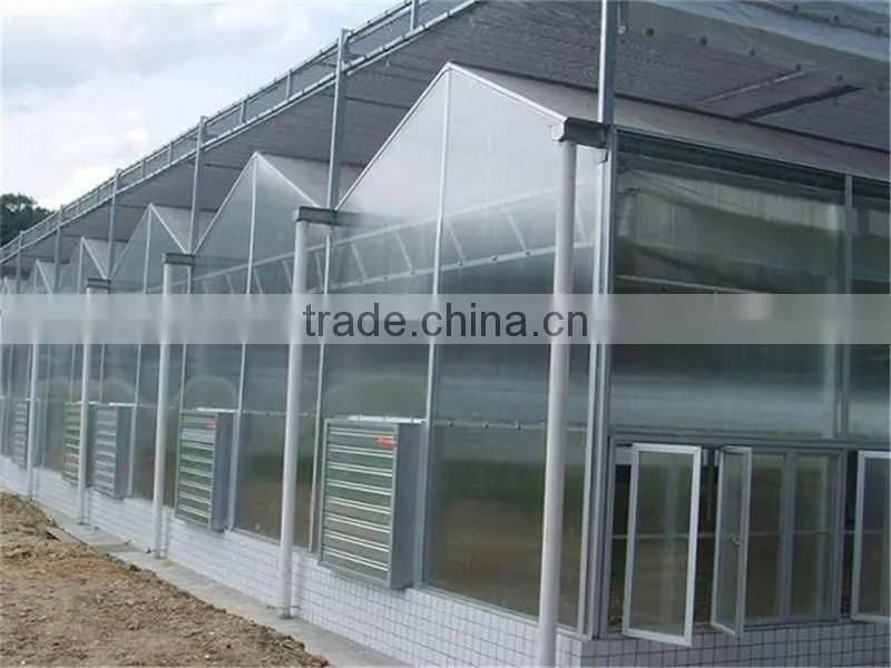 Light steel structure greenhouse for modern agriculture