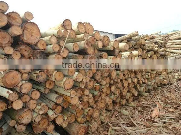 broom handle wooden stick