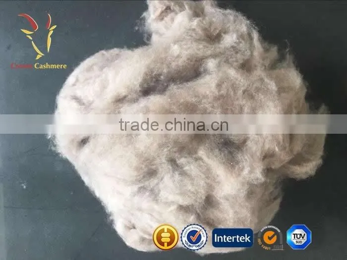 Whosale Kashmir Pure Cashmre Fiber Sale