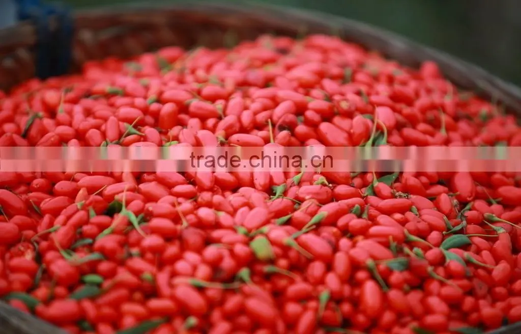 goji berry