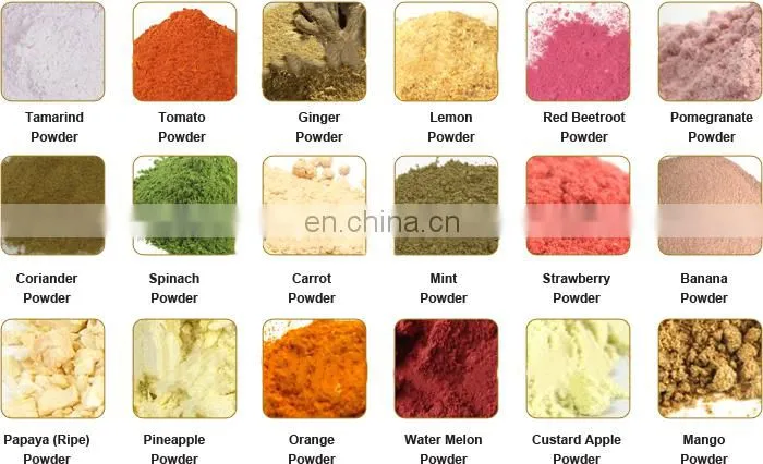 Factory Genyond spray dried freeze dried instant powder & whole ground fruit powder making machine fruit flour production line