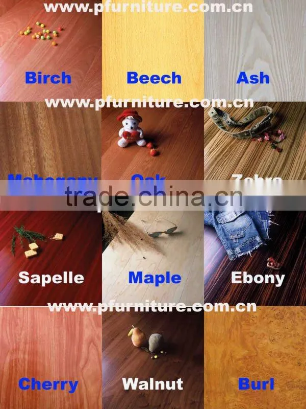 2012 hot sale hotel furniture (PFG412), updated hotel furniture
