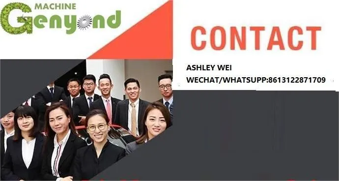 Turnkey Complete Industrial High Pressure Processing HPP Avocado Paste Puree Processing Machine