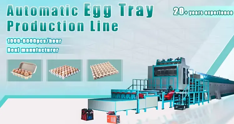 Automatic Egg Tray Egg Carton Production Line