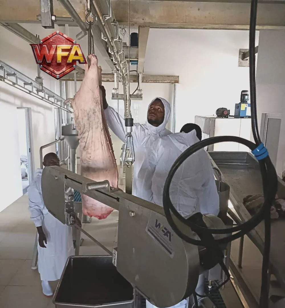 WFA PIG SLAUGHTER LINE(11)