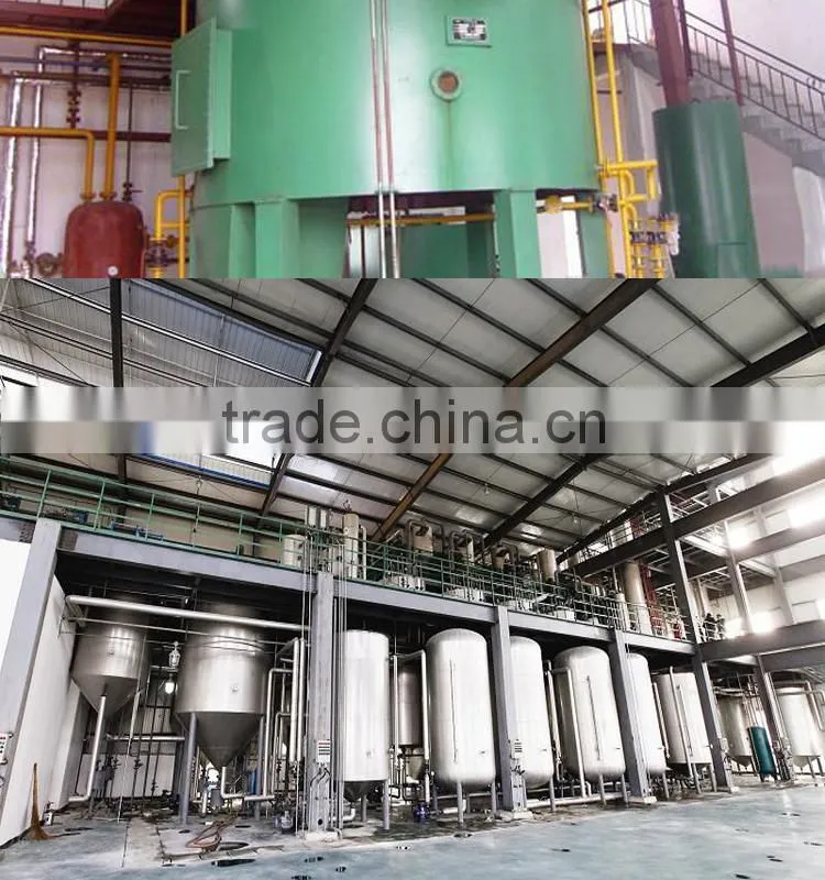 Avocado oil cold press machine with ISO CE Certification
