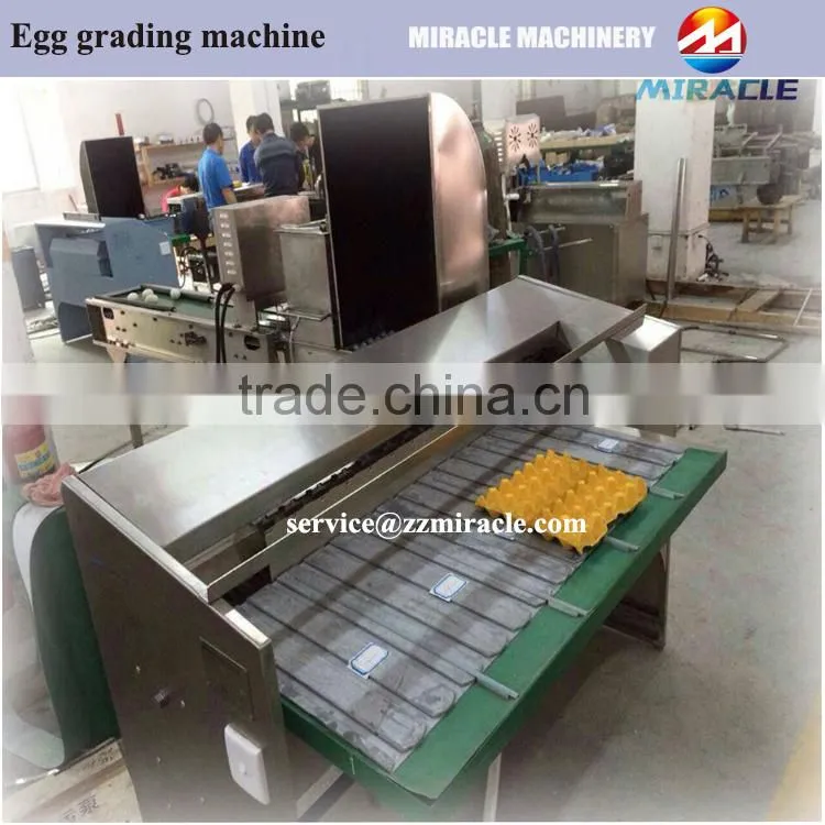 Grader and sorter egg machine, egg process grading machine from food process line