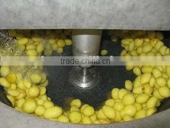 potato peeling and washing machine